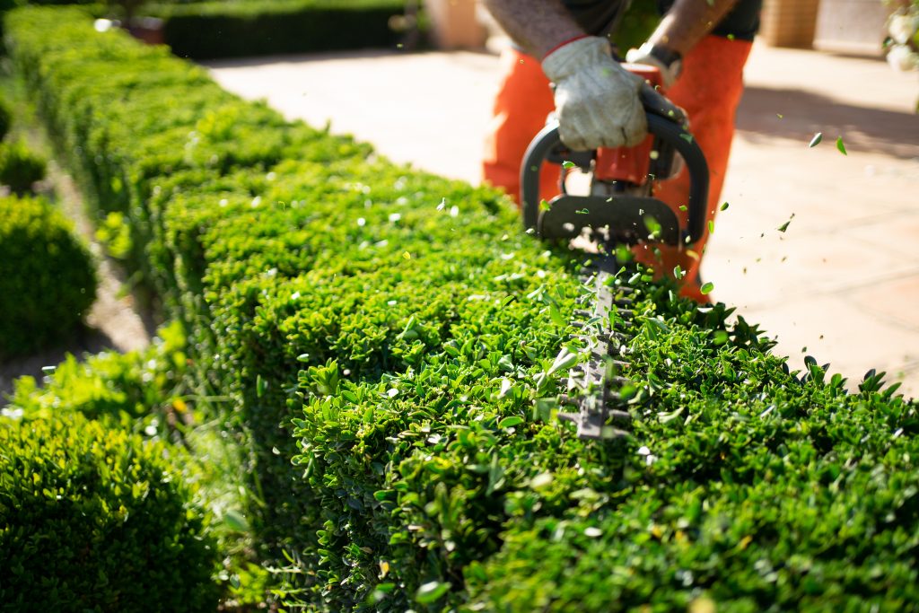 Gartenpflege